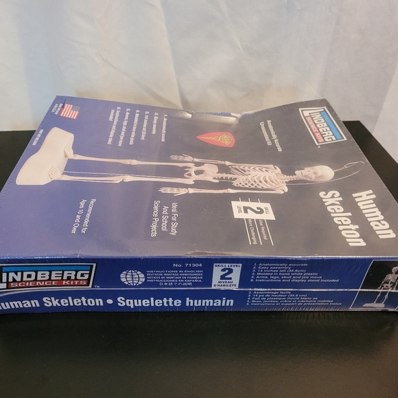 Lindberg Science Kits Human Skeleton Model Kit 71304 - Picture 4 of 5